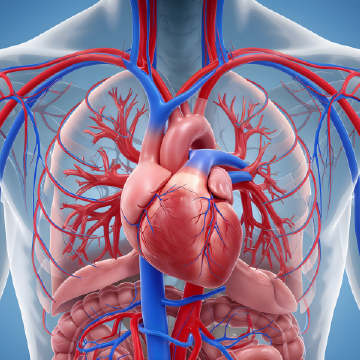 Zdjęcie nagłówkowe